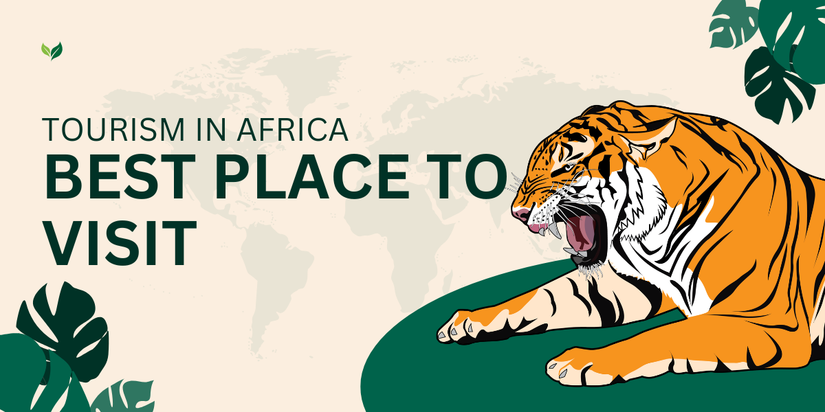 Top Must-Visit Tourist Spot in Africa